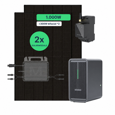 Balkonkraftwerk 1000 W Komplettset mit zwei Solarmodulen, Marstek B2500-D Speicher, Mikrowechselrichter und Smart Meter